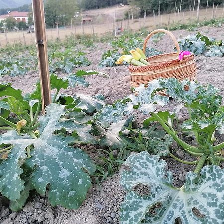 San Pietro Vara Agriturismo Dei Legiヴィラ エクステリア 写真