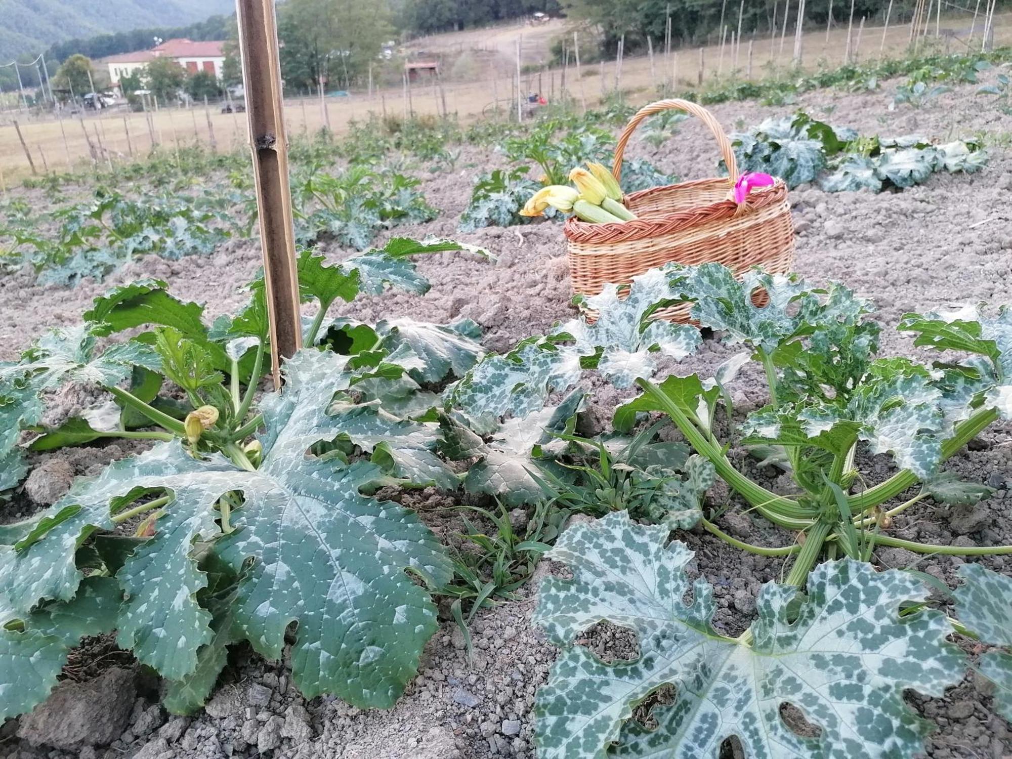 San Pietro Vara Agriturismo Dei Legiヴィラ エクステリア 写真