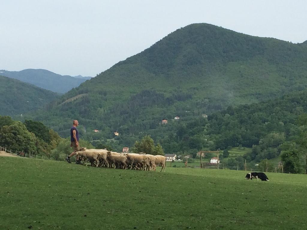 San Pietro Vara Agriturismo Dei Legiヴィラ エクステリア 写真