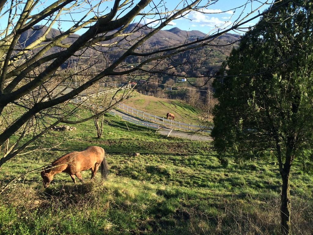 San Pietro Vara Agriturismo Dei Legiヴィラ エクステリア 写真