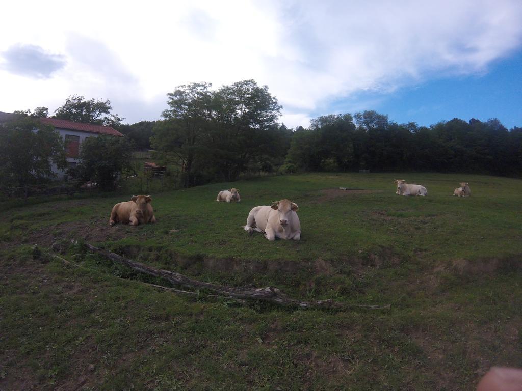 San Pietro Vara Agriturismo Dei Legiヴィラ エクステリア 写真