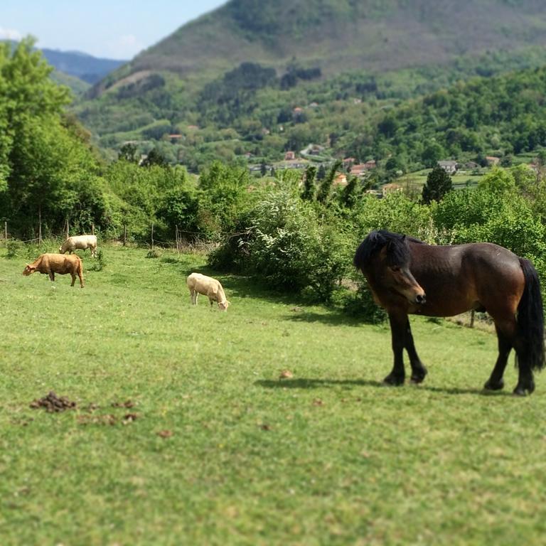 San Pietro Vara Agriturismo Dei Legiヴィラ エクステリア 写真