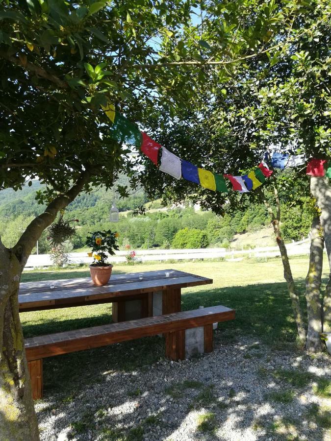 Agriturismo Dei Legi San Pietro Vara エクステリア 写真