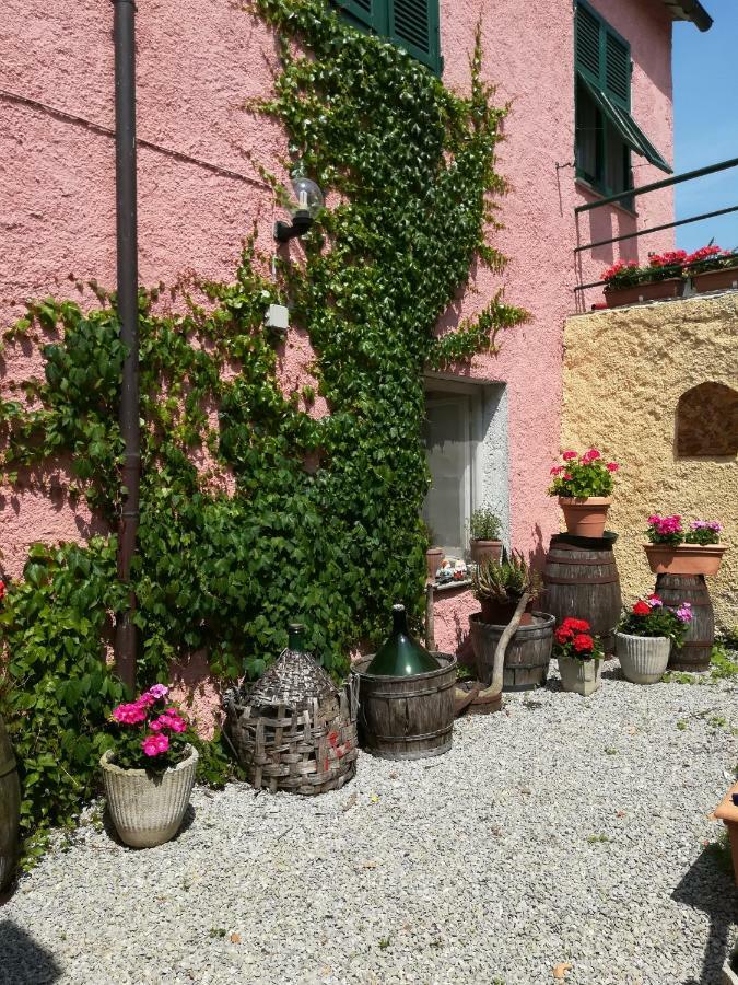 Agriturismo Dei Legi San Pietro Vara エクステリア 写真