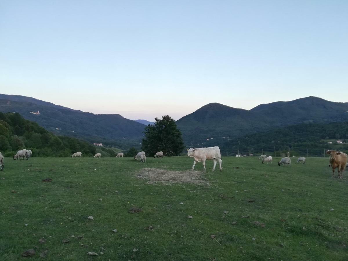 San Pietro Vara Agriturismo Dei Legiヴィラ エクステリア 写真