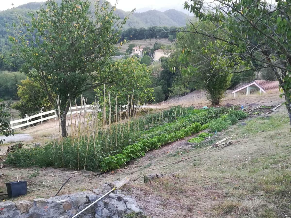 Agriturismo Dei Legi San Pietro Vara エクステリア 写真