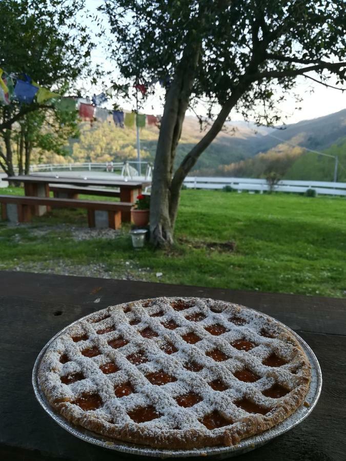 Agriturismo Dei Legi San Pietro Vara エクステリア 写真