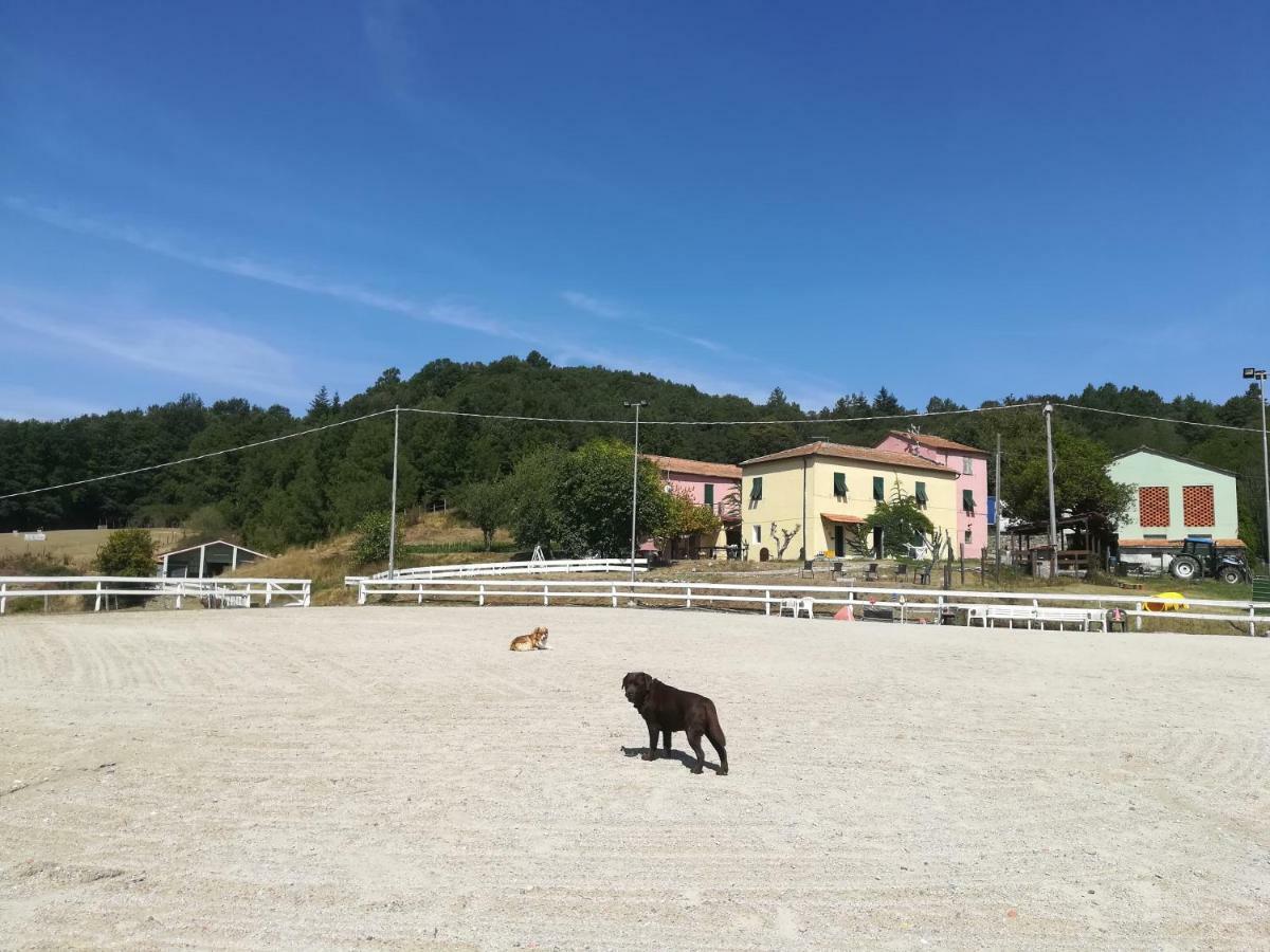 Agriturismo Dei Legi San Pietro Vara エクステリア 写真